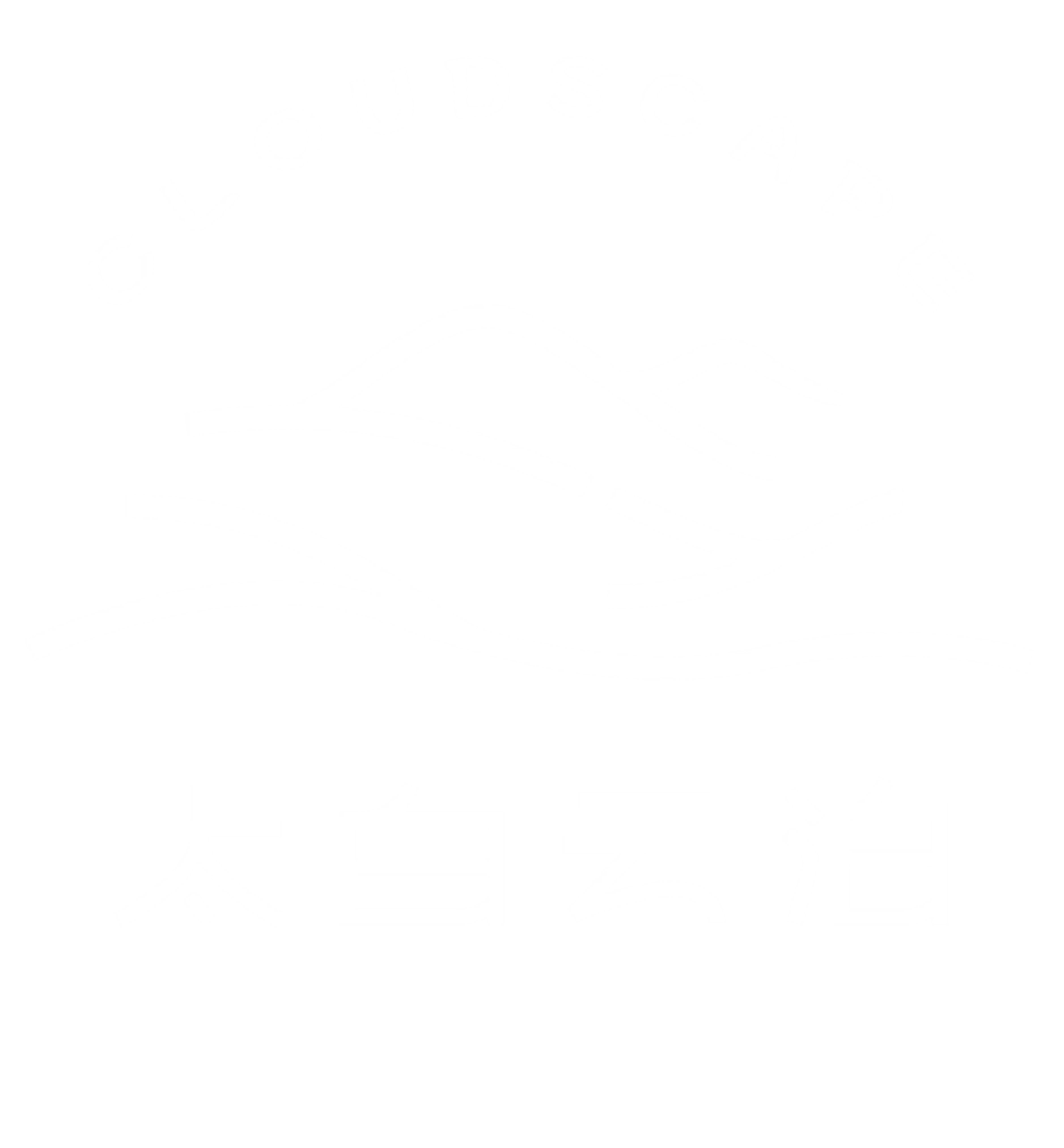 太白云泊IP